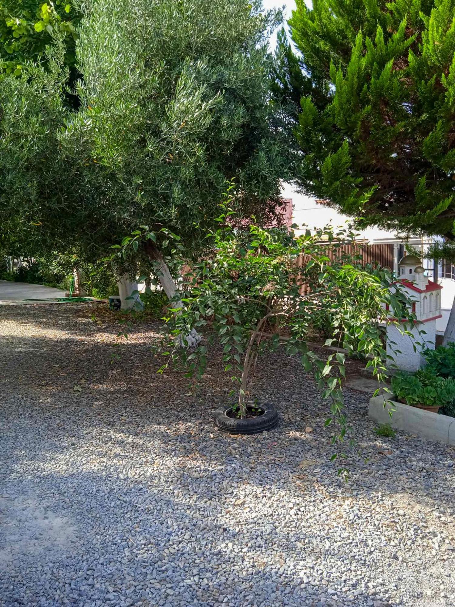 Κυανή Ακτή - Agia Paraskevi Mákri Exterior foto